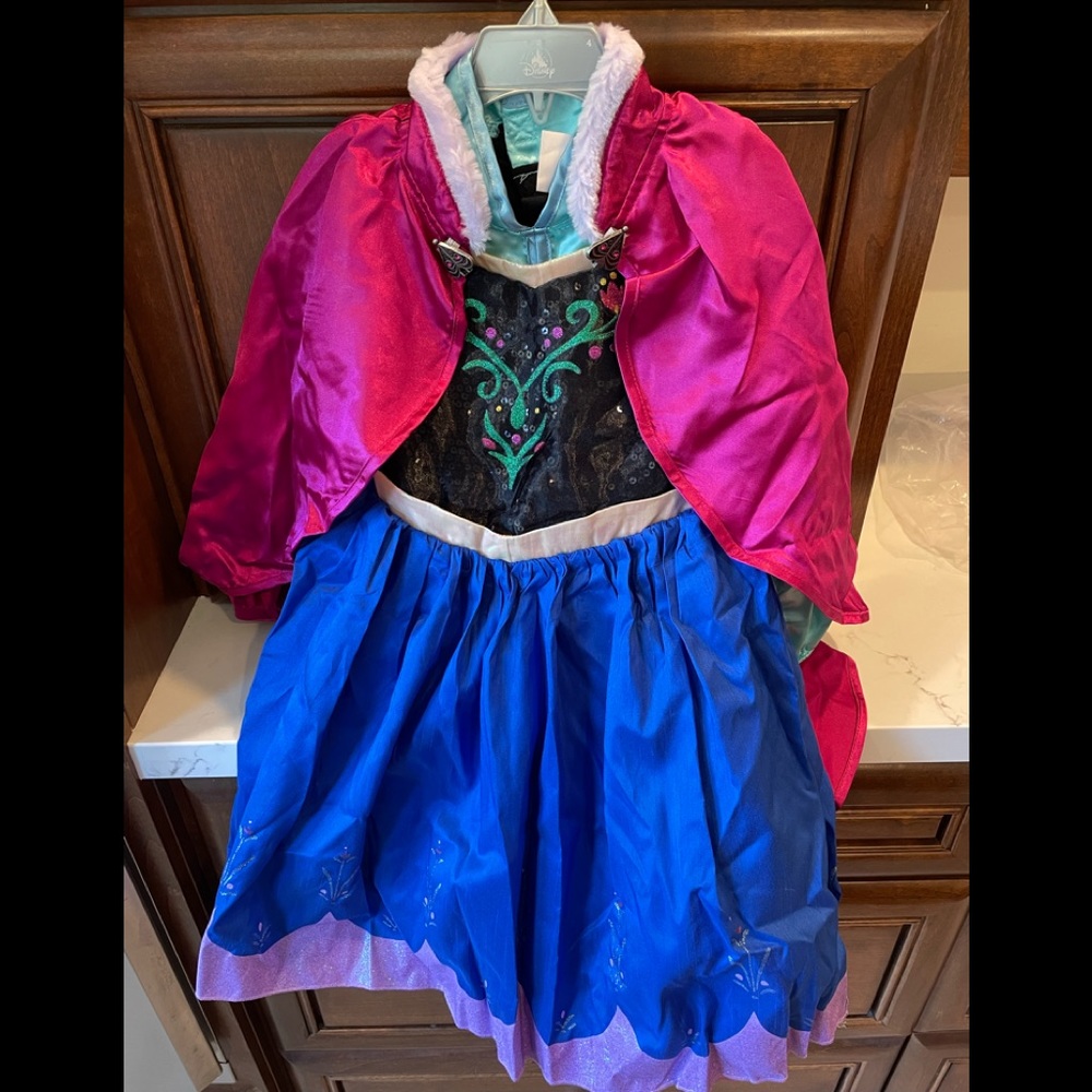 Anna Disneys Frozen costume